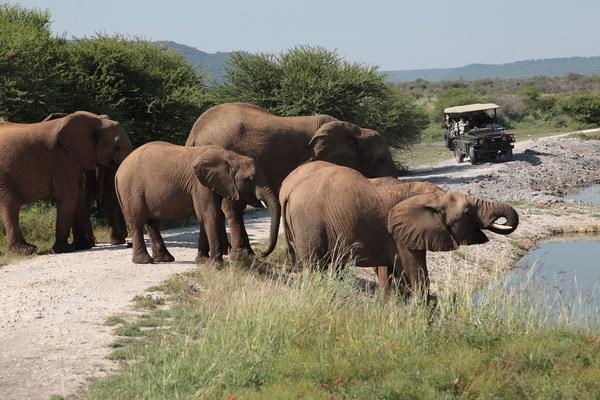 Tau Game Lodge Madikwe Game Reserve Εξωτερικό φωτογραφία