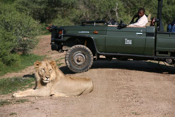 Tau Game Lodge Madikwe Game Reserve Εξωτερικό φωτογραφία