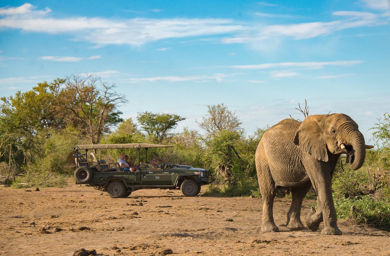 Tau Game Lodge Madikwe Game Reserve Εξωτερικό φωτογραφία